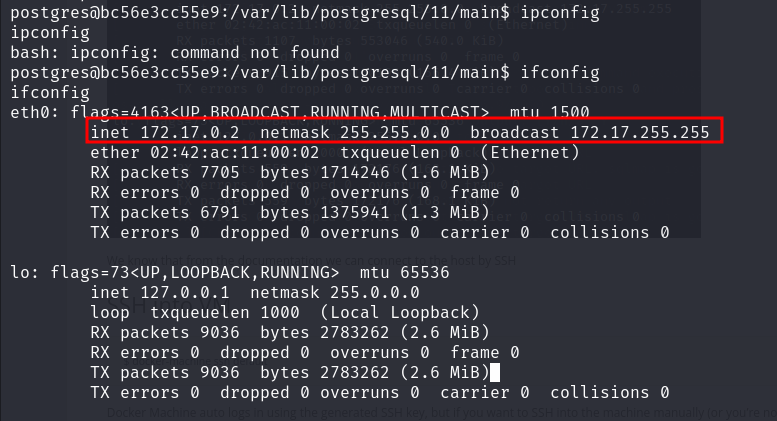 Container IP